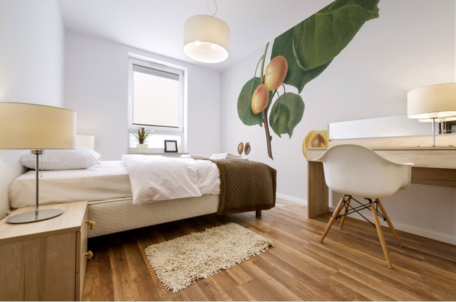 Grape vine Vitis vinifera Niciensis from Pomona Italiana 1817 - 1839 by Giorgio Gallesio 1772-1839.  Mural print