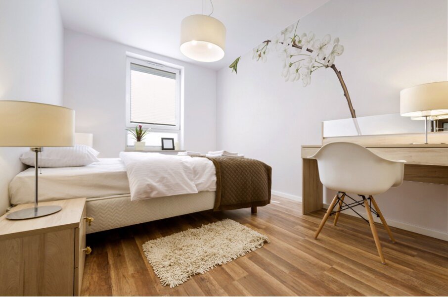 Amarena cherry flower Prunus cerasus from Pomona Italiana 1817 - 1839 by Giorgio Gallesio 1772-1839.  Mural print