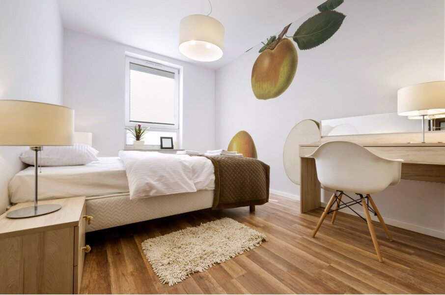 Apple Malus carpendolo from Pomona Italiana 1817 - 1839 by Giorgio Gallesio 1772-1839.  Mural print