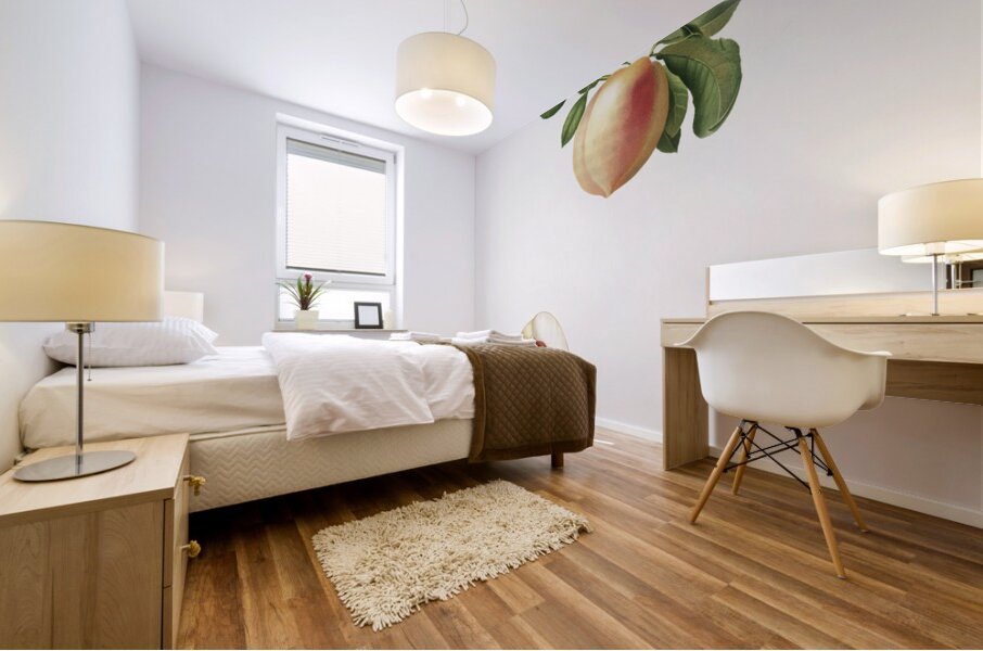 Peach Persica julodermis from Pomona Italiana 1817 - 1839 by Giorgio Gallesio 1772-1839.  Mural print