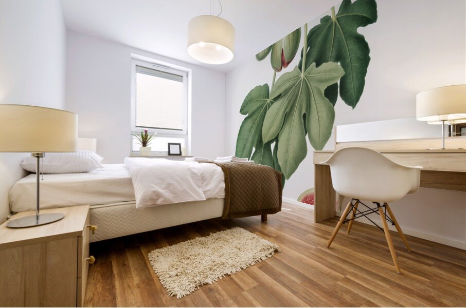 Fig Ficus carica from Pomona Italiana 1817 - 1839 by Giorgio Gallesio 1772-1839.  Mural print