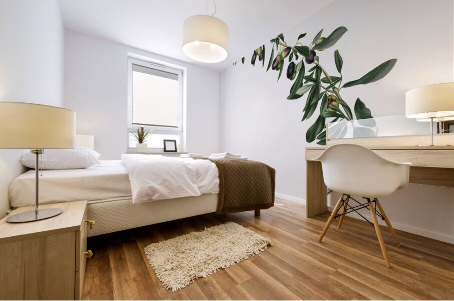 Olives Olea sativa Italica from Pomona Italiana 1817 - 1839 by Giorgio Gallesio 1772-1839.  Mural print