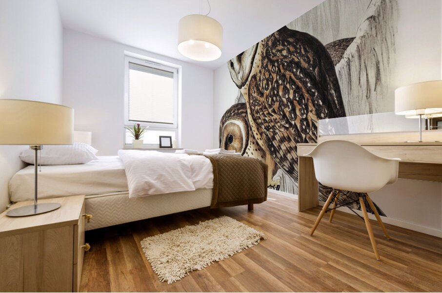 Chestnut-faced Owl Strix castanops illustrated by Elizabeth Gould 1804–1841 for John Gould’s 1804-1881 Birds of Australia  Mural print