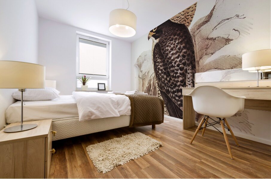 Black-cheeked Falcon Falco melanogenys illustrated by Elizabeth Gould 1804–1841 for John Gould’s 1804-1881 Birds of Australia  Mural print