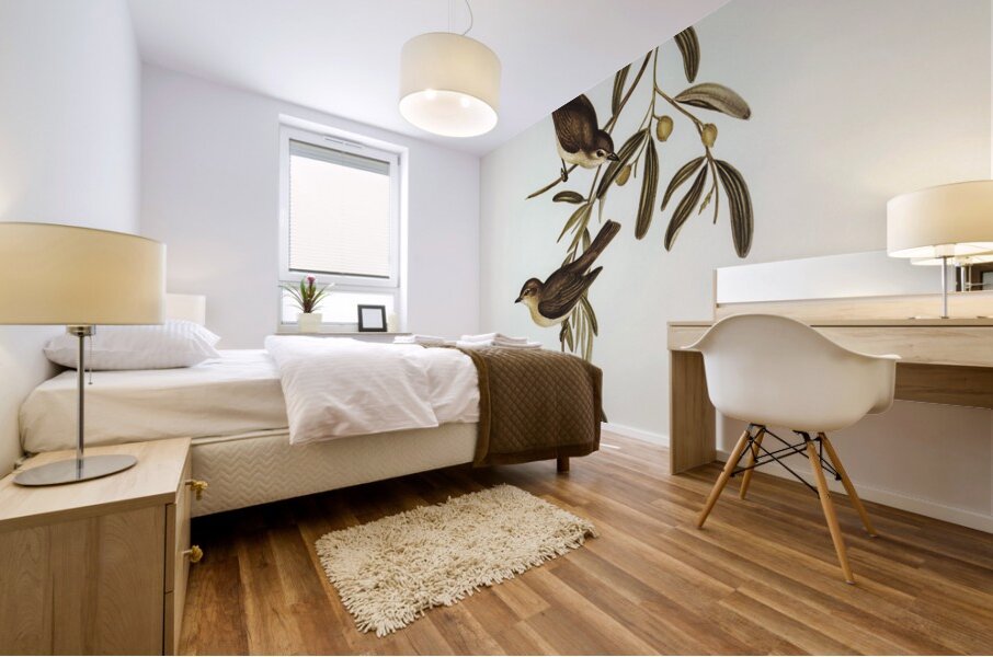 Plain-coloured Pachycephala Pachycephala simplex illustrated by Elizabeth Gould 1804–1841 for John Gould’s 1804-1881 Birds of Australia  Mural print