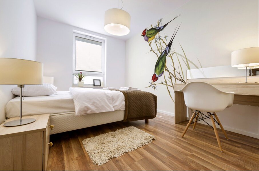 Beautiful Grass Finch Poephila mirabilis Homb&Jacq illustrated by Elizabeth Gould 1804–1841 for John Gould’s 1804-1881 Birds of Australia  Mural print