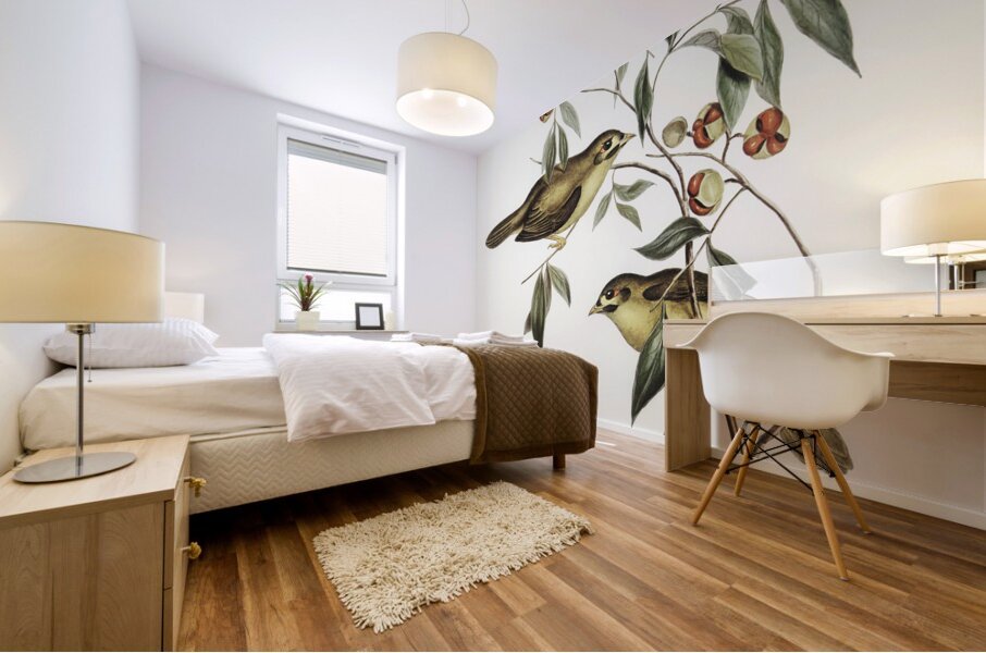 Australian Bell Bird Myzantha melanophrys illustrated by Elizabeth Gould 1804–1841 for John Gould’s 1804-1881 Birds of Australia  Mural print