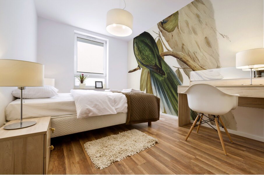 Curlew Sandpiper Schoeniclus subarquatus illustrated by Elizabeth Gould 1804–1841 for John Gould’s 1804-1881 Birds of Australia  Mural print