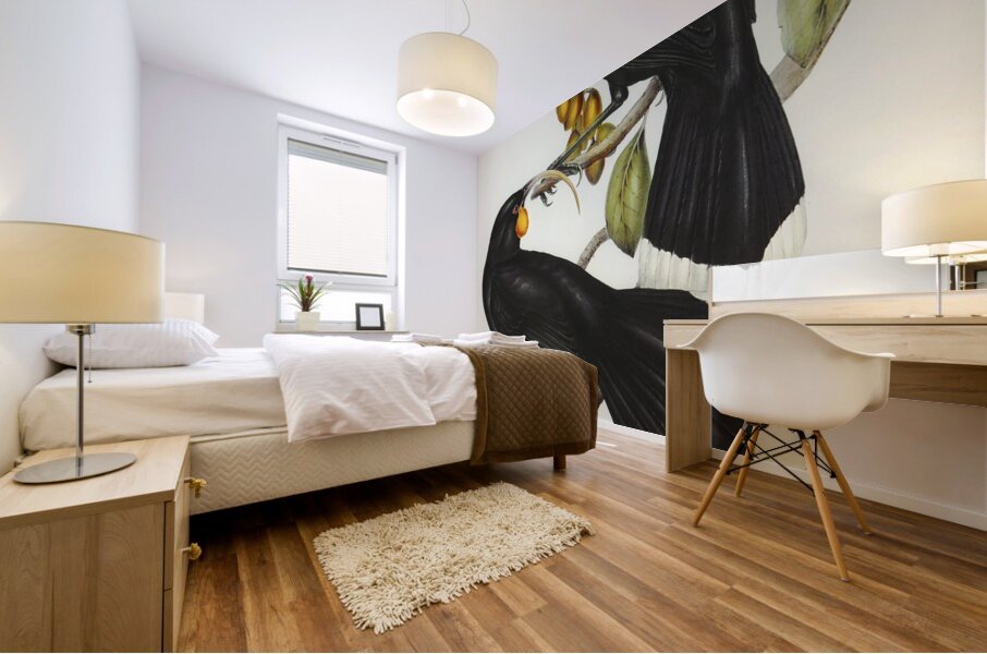 Gould&39s Neomorpha Neomorpha Gouldii illustrated by Elizabeth Gould 1804–1841 for John Gould’s 1804-1881 Birds of Australia  Mural print