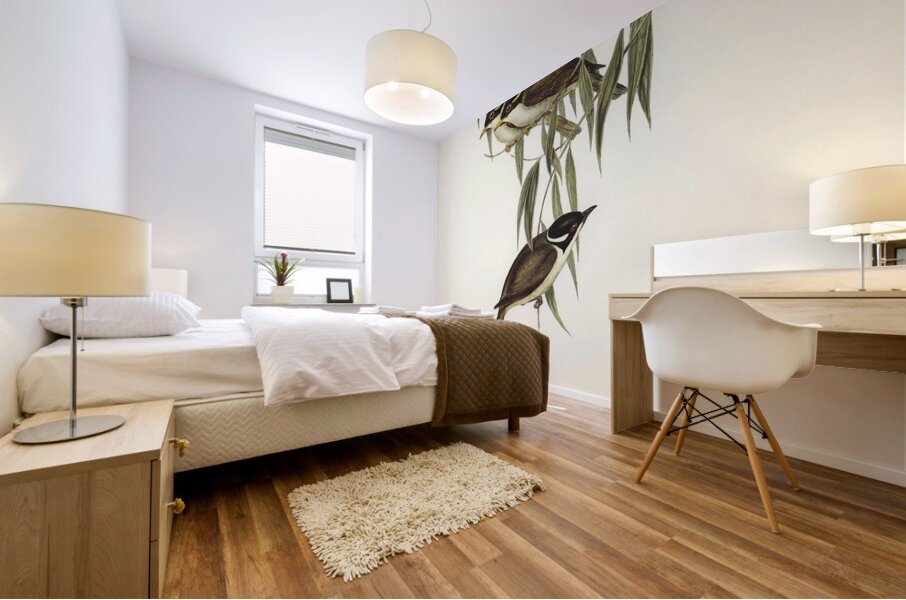 Strong-billed Honey-eater Melithreptus validirostris illustrated by Elizabeth Gould 1804–1841 for John Gould’s 1804-1881 Birds of Australia  Mural print