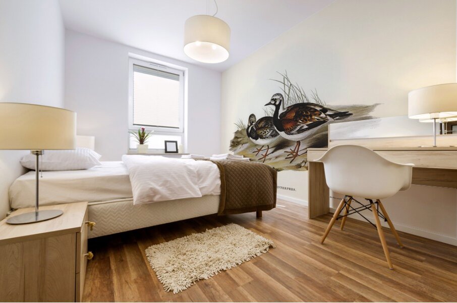 Turnstone Strepsilas Interpres illustrated by Elizabeth Gould 1804–1841 for John Gould’s 1804-1881 Birds of Australia  Mural print