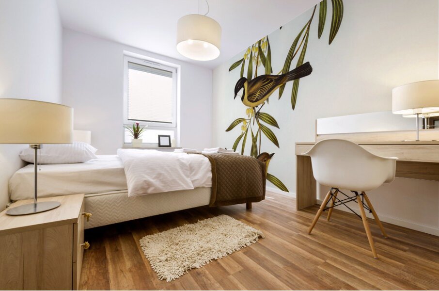 Guttural Pachycephala Pachycephala gutturalis illustrated by Elizabeth Gould 1804–1841 for John Gould’s 1804-1881 Birds of Australia  Mural print