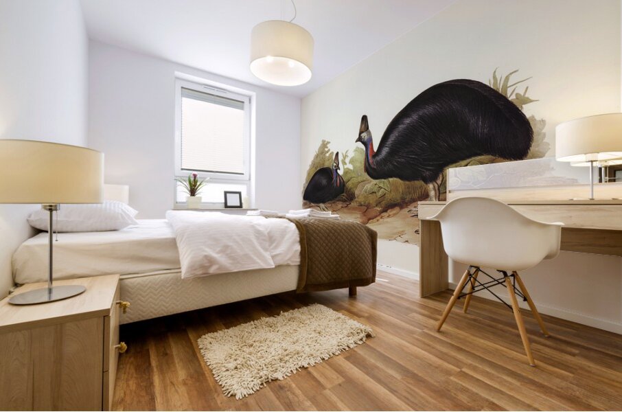 Australian Cassowary Casuarius australis illustrated by Elizabeth Gould 1804–1841 for John Gould’s 1804-1881 Birds of Australia  Mural print