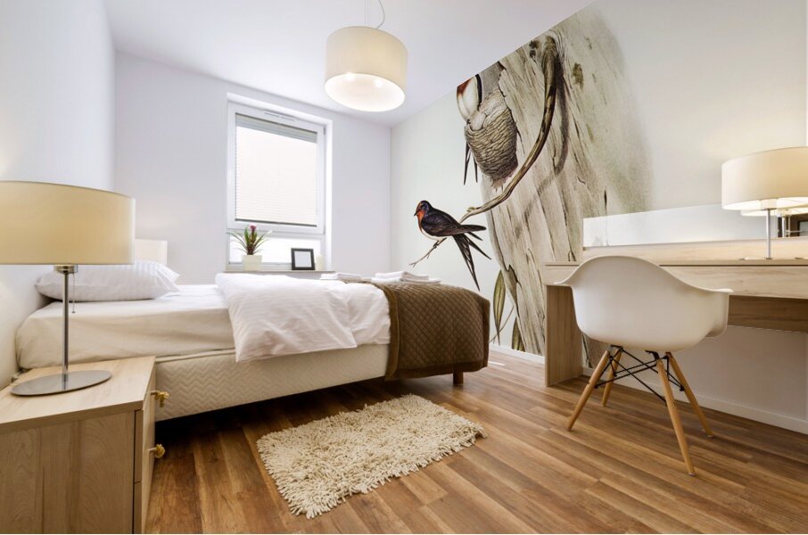 Welcome Swallow Hirundo neoxena illustrated by Elizabeth Gould 1804–1841 for John Gould’s 1804-1881 Birds of Australia  Mural print