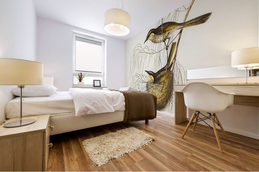 Singing Honey-eater Ptilotis sonorus illustrated by Elizabeth Gould 1804–1841 for John Gould’s 1804-1881 Birds of Australia  Mural print