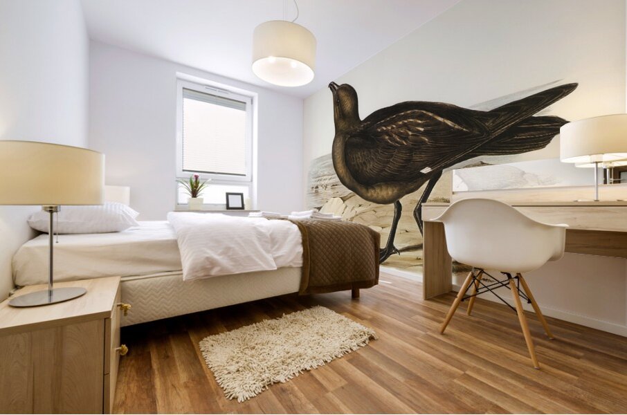 Skua Gull Lestris Catarractes illustrated by Elizabeth Gould 1804–1841 for John Gould’s 1804-1881 Birds of Australia  Mural print