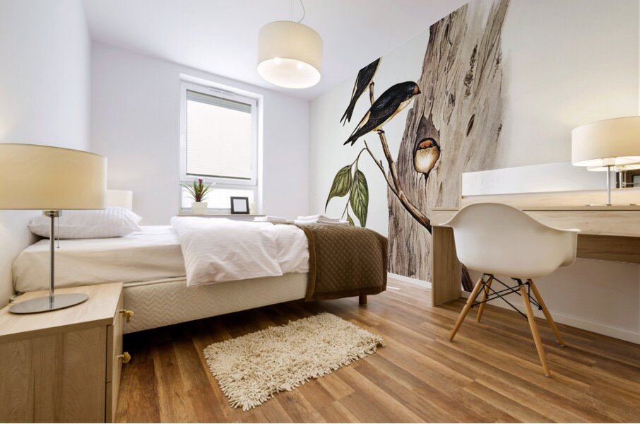 Tree Martin Collocalia arborea illustrated by Elizabeth Gould 1804–1841 for John Gould’s 1804-1881 Birds of Australia  Mural print