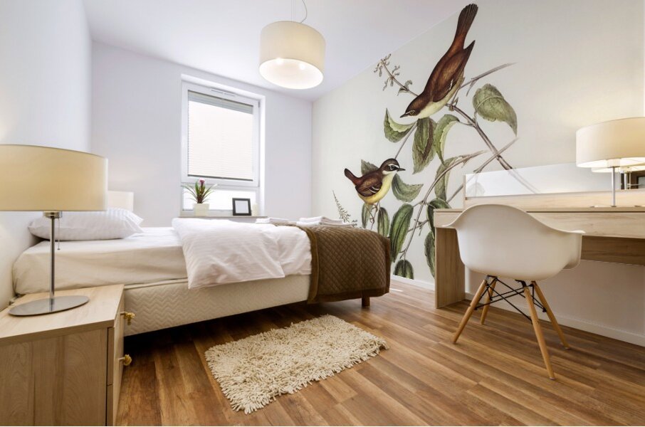 White-fronted Sericornis Sericornis frontalis illustrated by Elizabeth Gould 1804–1841 for John Gould’s 1804-1881 Birds of Australia  Mural print