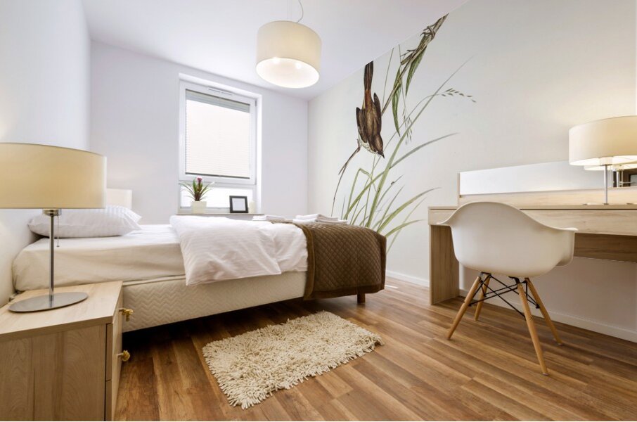 Red-rumped Wren ylacola pyrrhopygia illustrated by Elizabeth Gould 1804–1841 for John Gould’s 1804-1881 Birds of Australia  Mural print