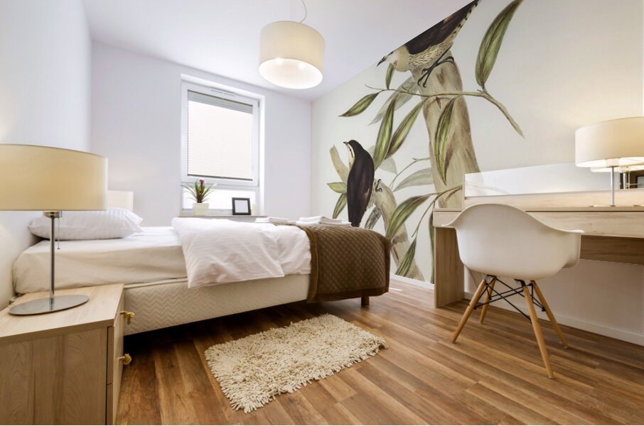 Black-backed Tree-Creeper Climacteris melanotus illustrated by Elizabeth Gould 1804–1841 for John Gould’s 1804-1881 Birds of Australia  Mural print