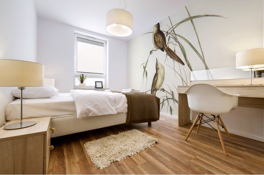 Crested Cockatoo Cacatua galerita illustrated by Elizabeth Gould 1804–1841 for John Gould’s 1804-1881 Birds of Australia  Mural print