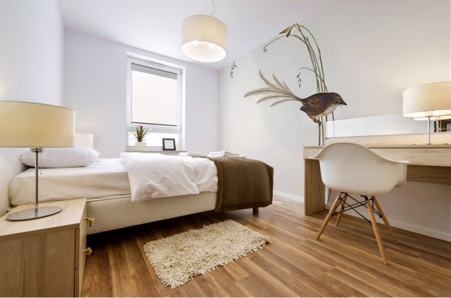 Emu Wren tipiturus malachurus illustrated by Elizabeth Gould 1804–1841 for John Gould’s 1804-1881 Birds of Australia  Mural print