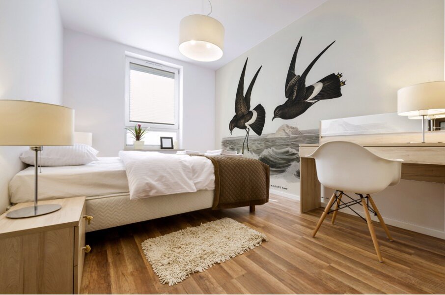 Wilsons Storm Petrel Thalassidroma Wilsonii illustrated by Elizabeth Gould 1804–1841 for John Gould’s 1804-1881 Birds of Australia  Mural print