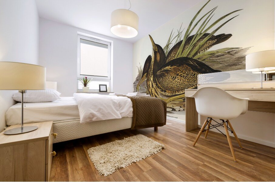 Australian Bittern Botaurus Australis illustrated by Elizabeth Gould 1804–1841 for John Gould’s 1804-1881 Birds of Australia  Mural print