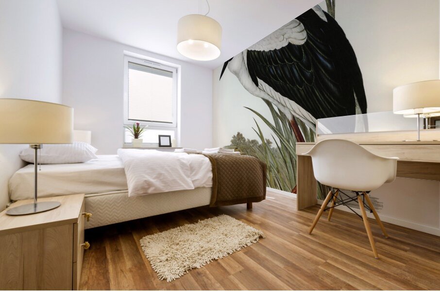 Australian Mycteria Mycteria Australis illustrated by Elizabeth Gould 1804–1841 for John Gould’s 1804-1881 Birds of Australia  Mural print