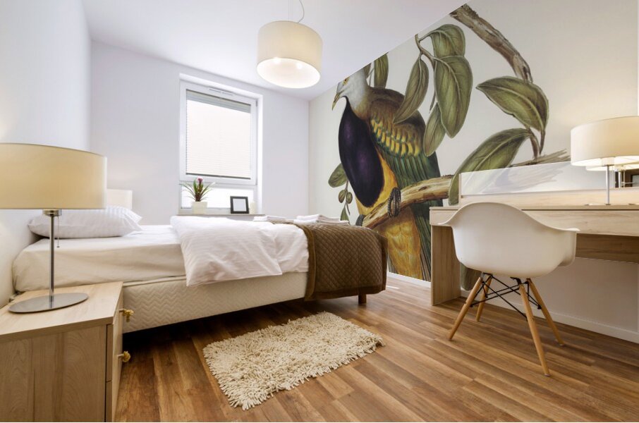 Magnificent Fruit Pigeon Carpophaga magnifica illustrated by Elizabeth Gould 1804–1841 for John Gould’s 1804-1881 Birds of Australia  Mural print