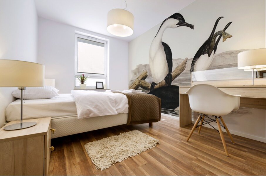 White-breasted Cormorant Phalacrocorax leucogaster illustrated by Elizabeth Gould 1804–1841 for John Gould’s 1804-1881 Birds of Australia  Mural print