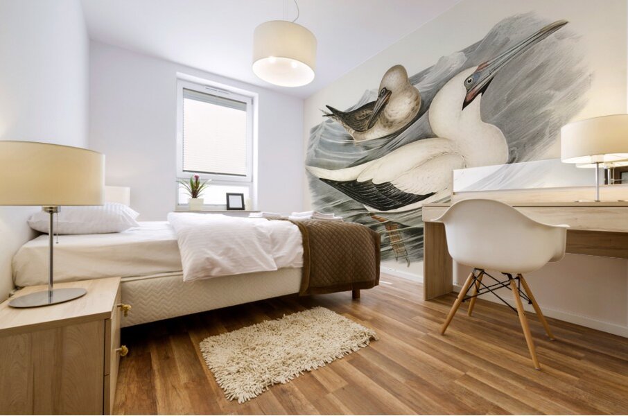 Red-legged Gannet Sula piscator illustrated by Elizabeth Gould 1804–1841 for John Gould’s 1804-1881 Birds of Australia  Mural print