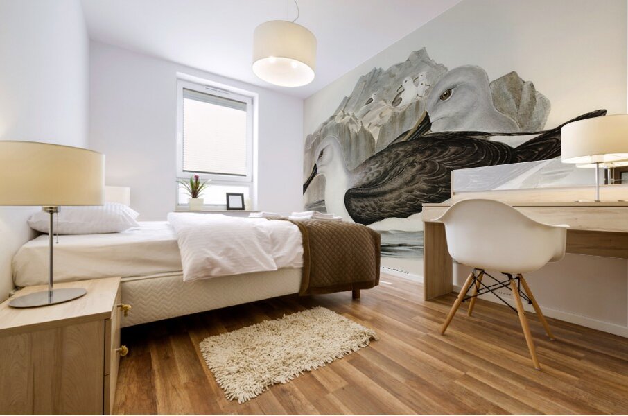 Culminated Albatros Diomedea culminata illustrated by Elizabeth Gould 1804–1841 for John Gould’s 1804-1881 Birds of Australia  Mural print