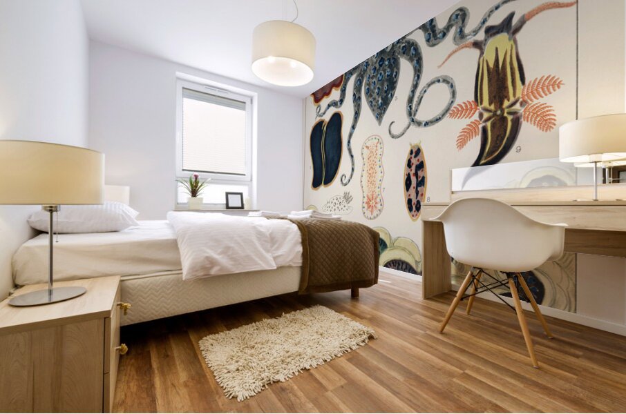 Barrier Reef Molluscs and Planarians from The Great Barrier Reef of Australia 1893 by William Saville-Kent 1845-1908. Fig 1: Flat worm Pseudoceros KentiiFig 2: Planarian Pseudoceros DimidiatusFig 3: Blue spotted Octopus Octopus PictusFig 4: Sea-hare A Mural print