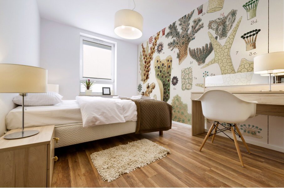 Great Barrier Reef Corals from The Great Barrier Reef of Australia 1893 by William Saville-Kent 1845-1908. Fig 1 : Seriatopora HystrixFig 2 : Stylopora PalmataFig 3 : Pcillpoora DamicornisFig 4 : Oculina FasciculataFig 5 : Echinopora horridaFig 6 :  Mural print