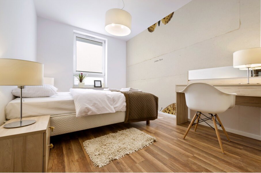 Silver-bordered Fritillary Argynnis Myrina from Moths and butterflies of the United States 1900 by Sherman F. Denton 1856-1937.  Mural print