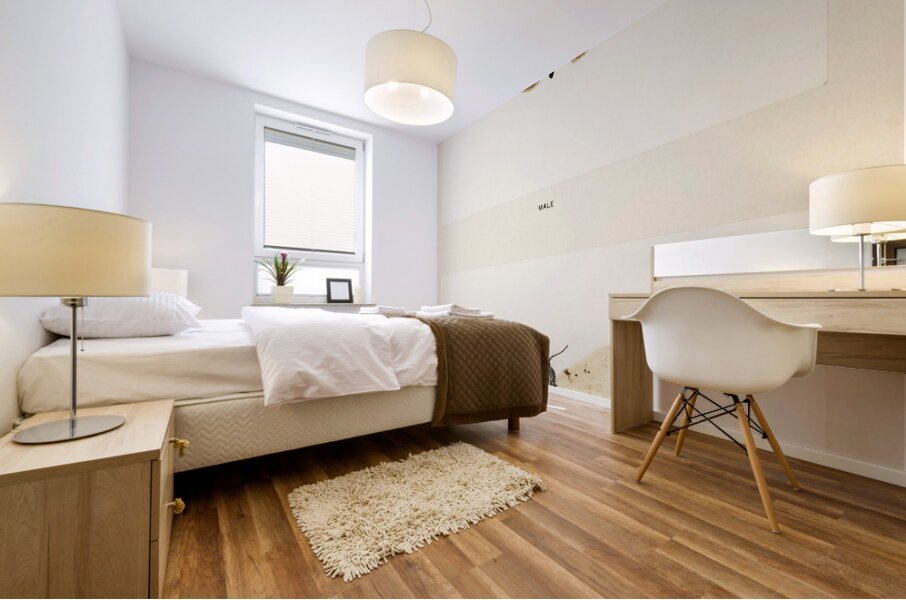 Gypsy Moth - Male Female Ocneria Dispar from Moths and Butterflies of the United States 1900 by Sherman F. Denton 1856-1937.  Mural print