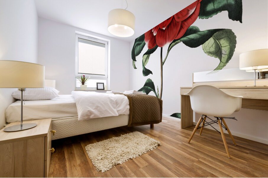 Mr. Reevess crimson camellia from Edwards Botanical Register 1829-1847  by Sydenham Edwards John Lindley and James Ridgway. Mural print