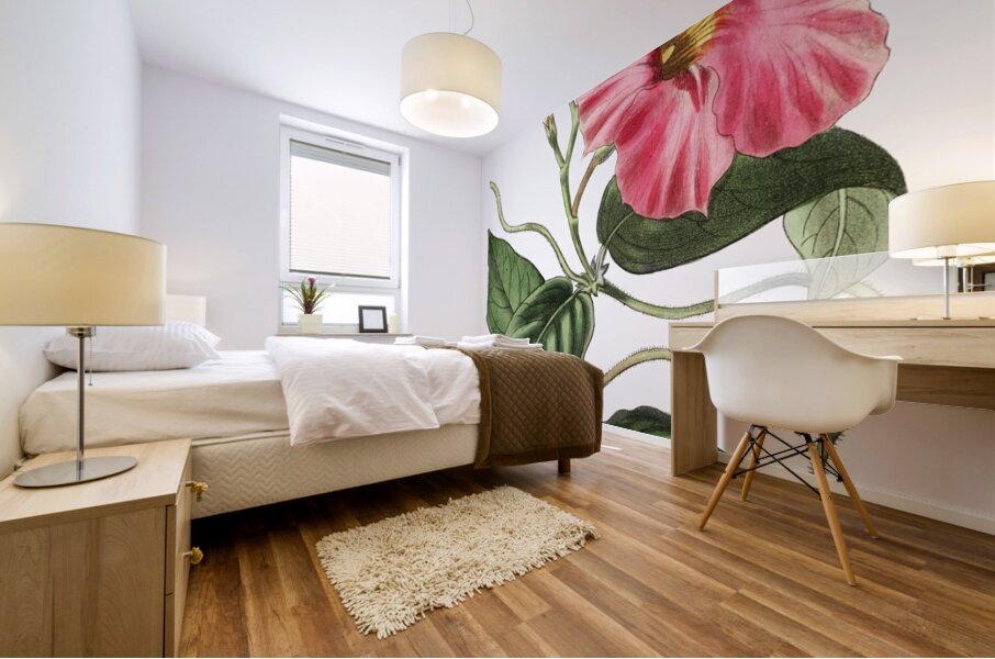 Knob-jointed dipladenia from Edwards Botanical Register 1829-1847  by Sydenham Edwards John Lindley and James Ridgway. Mural print