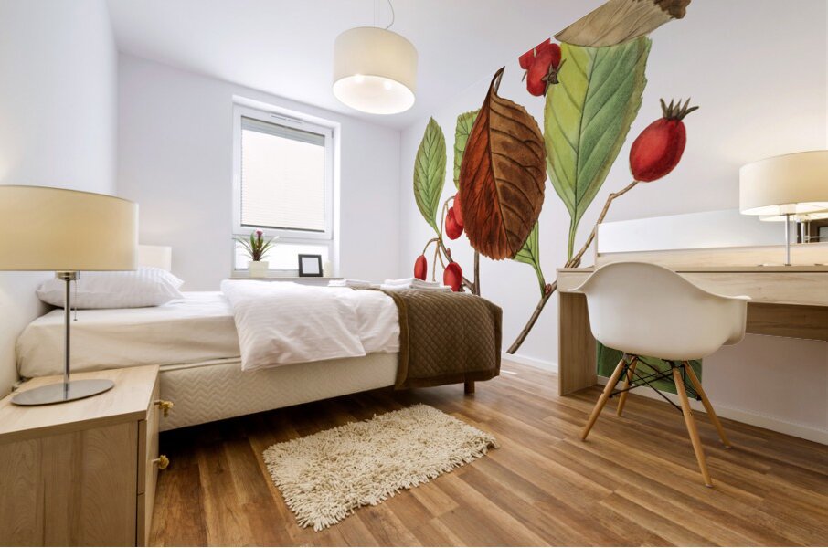 Plum leaved thorn from Edwards Botanical Register 1829-1847  by Sydenham Edwards John Lindley and James Ridgway. Mural print