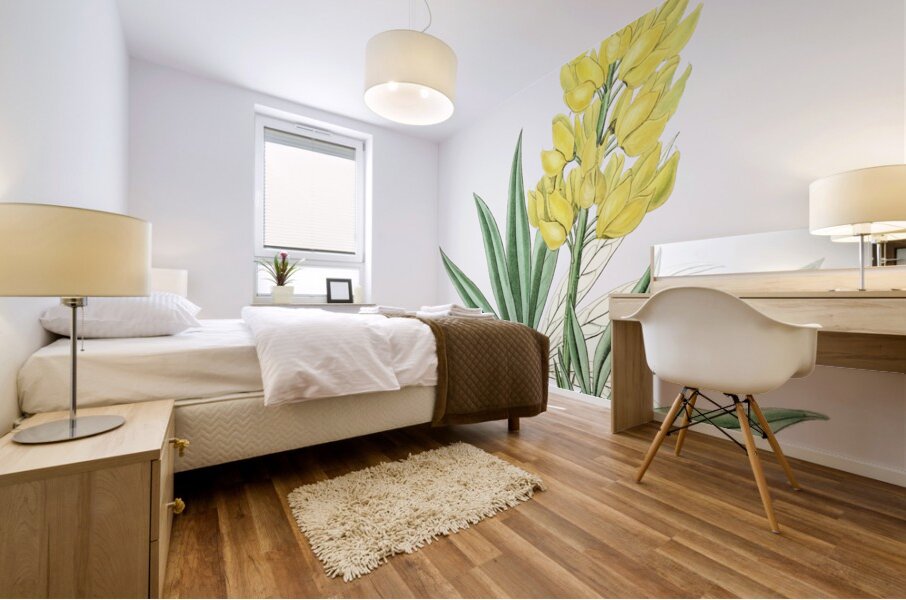 Yellow perennial lupine from Edwards Botanical Register 1829-1847  by Sydenham Edwards John Lindley and James Ridgway. Mural print