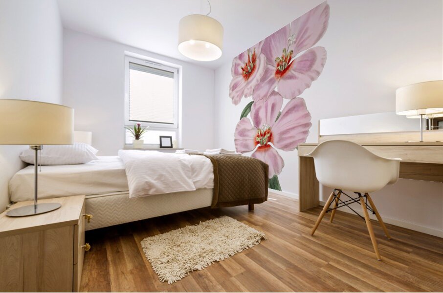 Ruddy godetia from Edwards Botanical Register 1829-1847  by Sydenham Edwards John Lindley and James Ridgway. Mural print