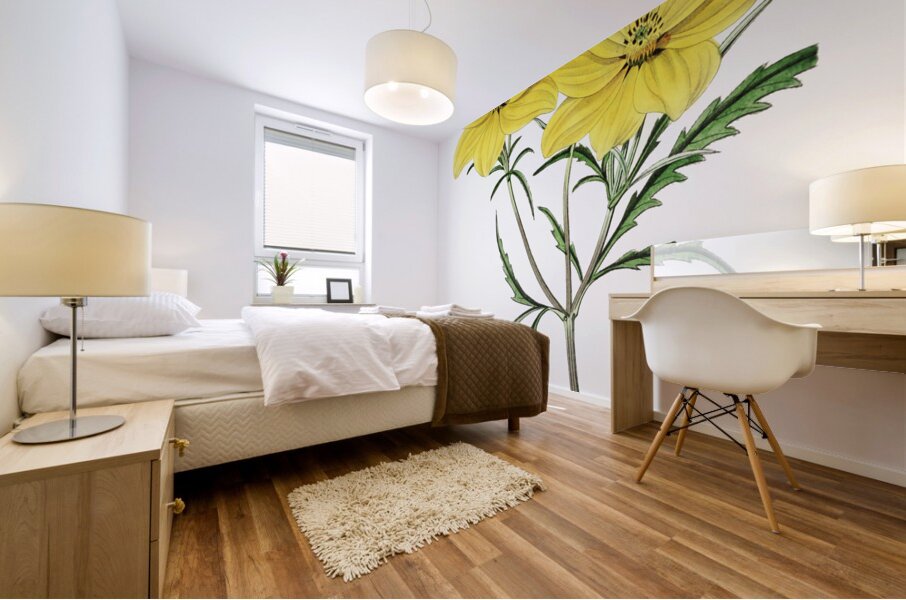 Golden coreopsis from Edwards Botanical Register 1829-1847  by Sydenham Edwards John Lindley and James Ridgway. Mural print