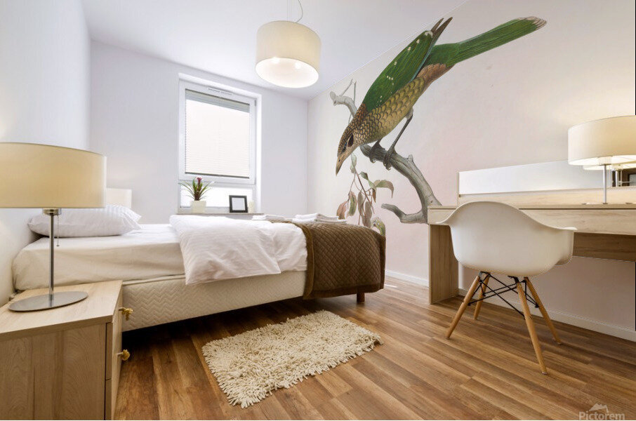 Ailuraedus melanotus 1873 Mural print