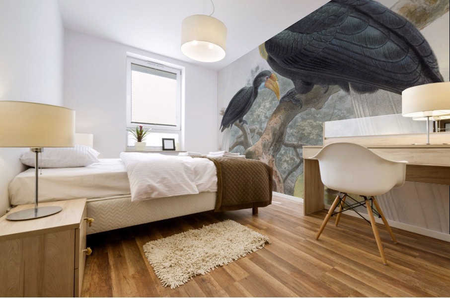 Rhytidoceros subruficollis 1882 Mural print