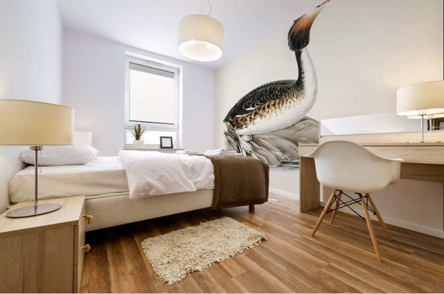 Podiceps cristatus Mural print