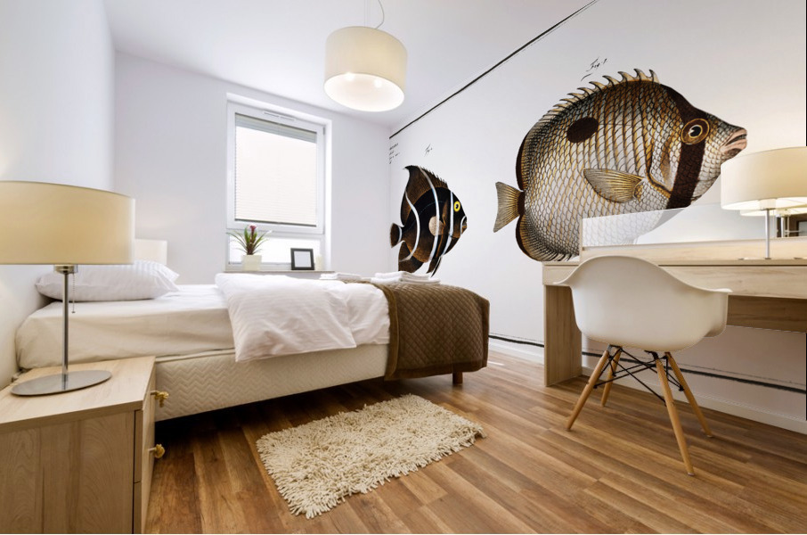 1. Chaetodon unimaculatus 2. Arc-Fish Chaetodon arcuatus Mural print