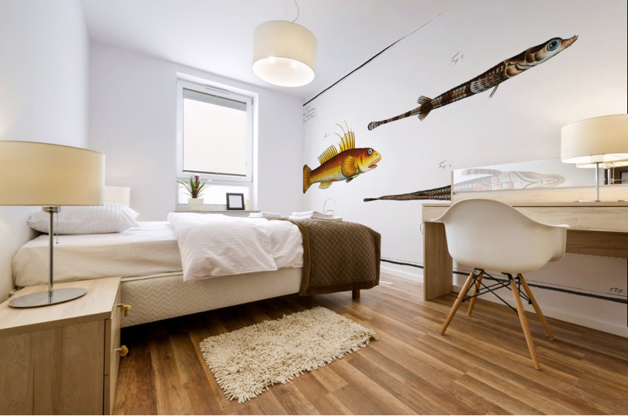 1. 2. Cottus monopterigius 3. Gobius Plümieri Mural print