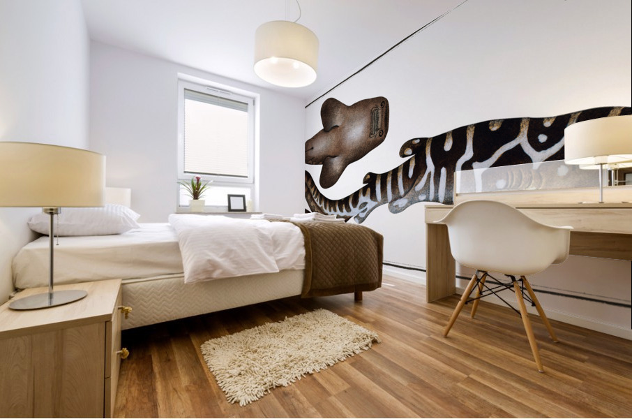 Belted Shark Squalus Fasciatus Mural print