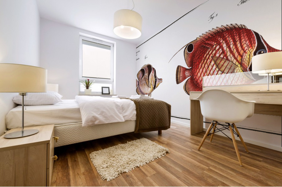 1. Bristle-Chetodon Chaetodon Setifer 2. Sickle-Chetodon Chaetodon Falcula Mural print